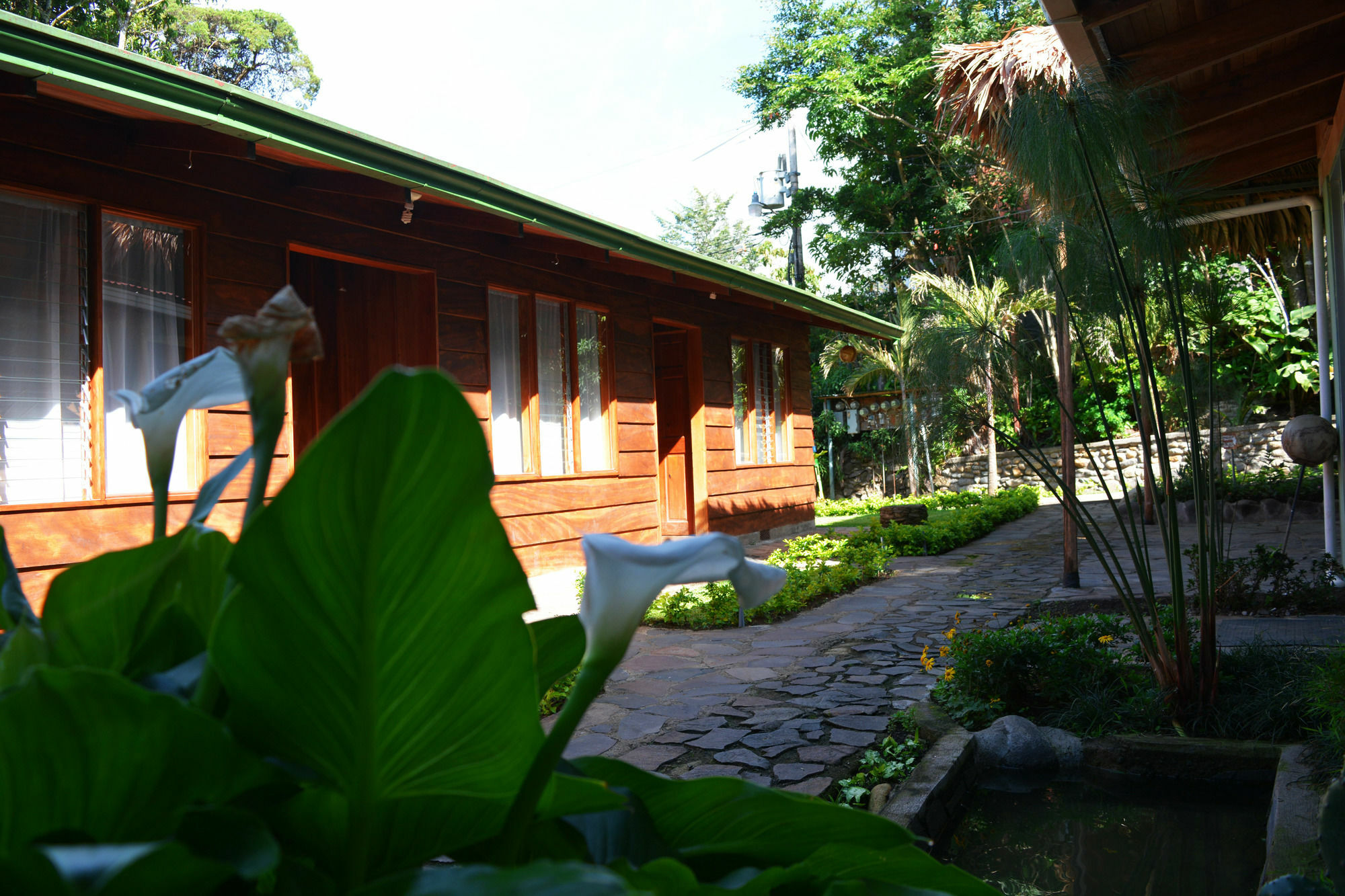 Santa Elena Hostel Resort Monteverde Ngoại thất bức ảnh