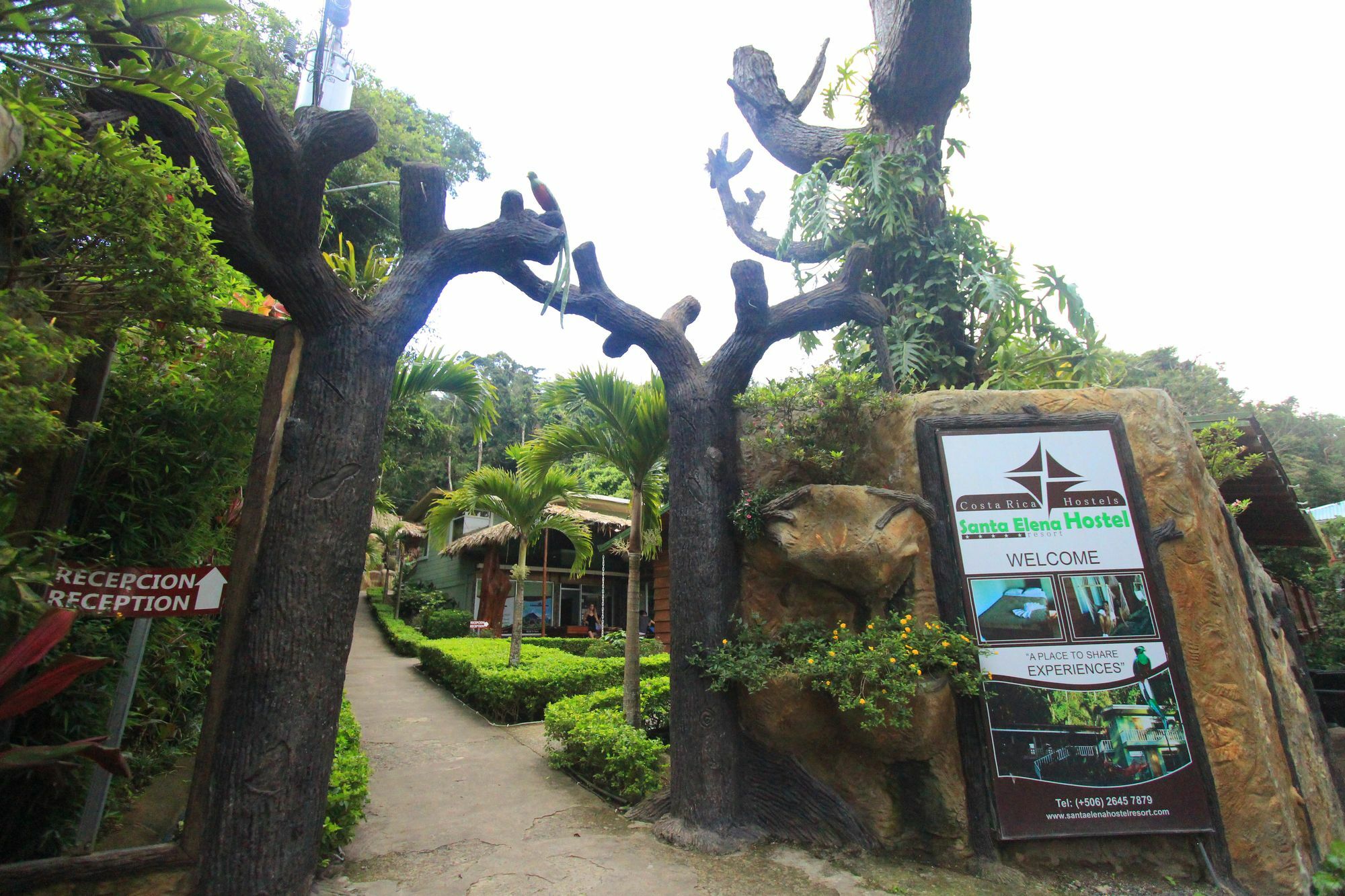 Santa Elena Hostel Resort Monteverde Ngoại thất bức ảnh