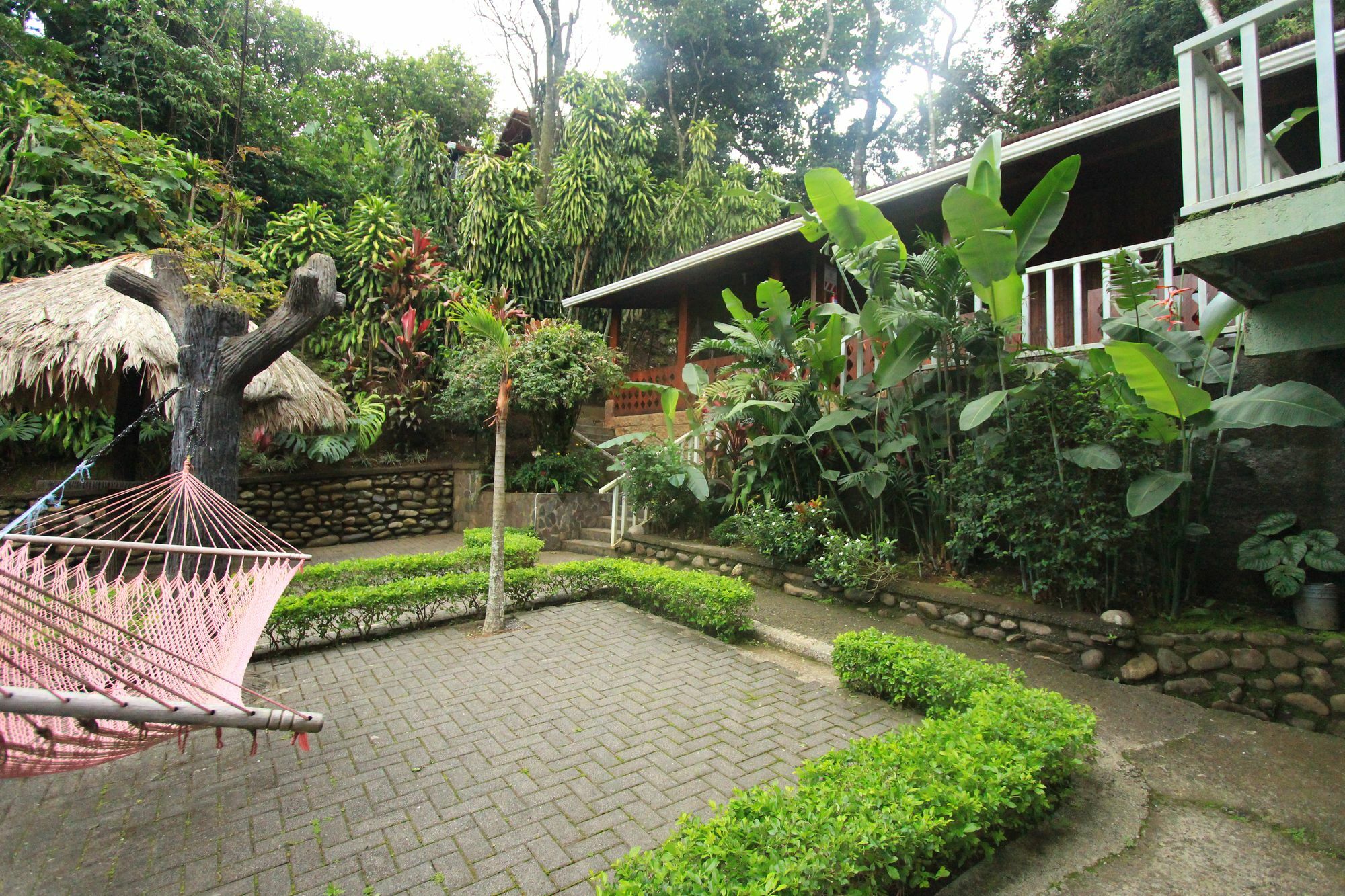 Santa Elena Hostel Resort Monteverde Ngoại thất bức ảnh