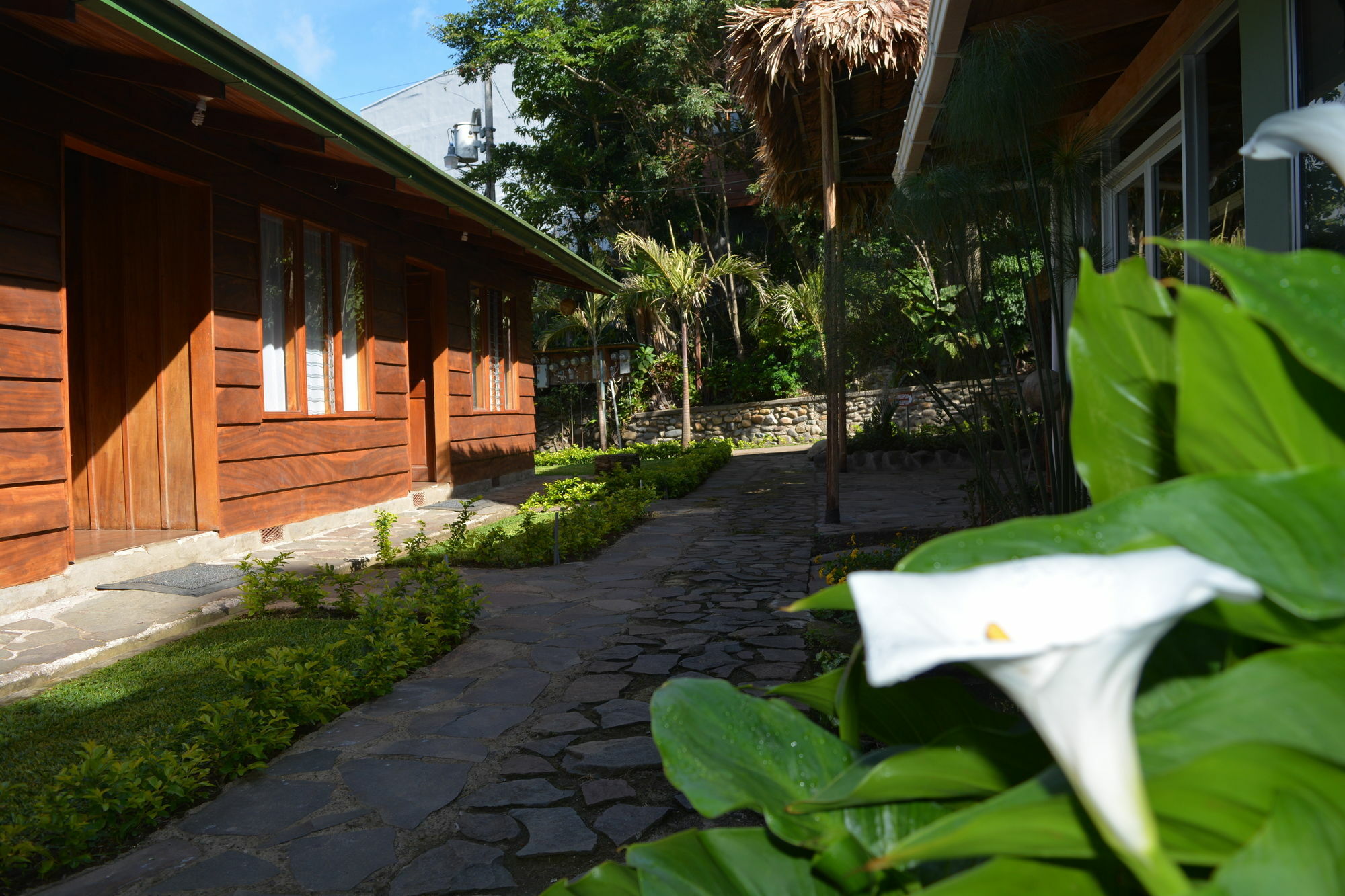 Santa Elena Hostel Resort Monteverde Ngoại thất bức ảnh